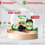 Thực phẩm bảo vệ sức khỏe DNC GAN