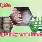 Hạt thủy canh Bio-N