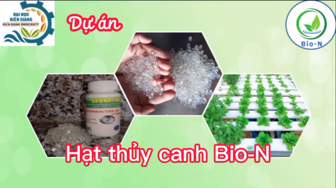 Hạt thủy canh Bio-N