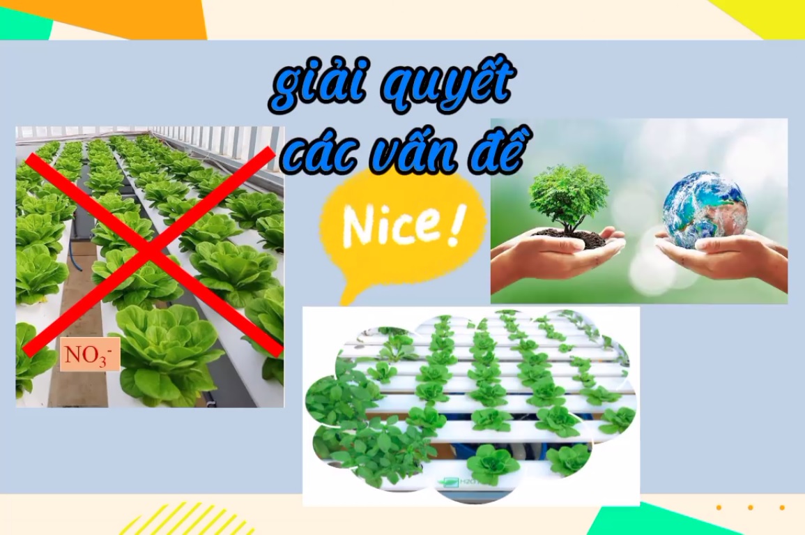 Hạt thủy canh Bio-N