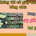 Hạt thủy canh Bio-N