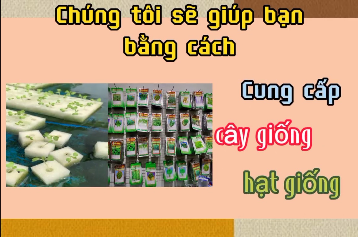 Hạt thủy canh Bio-N