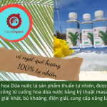 Mật Hoa Dừa Nước