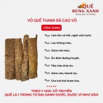 Vỏ Quế Thanh Đã Cạo Vỏ